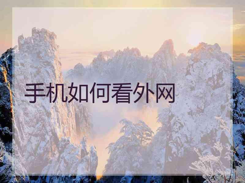 手机如何看外网