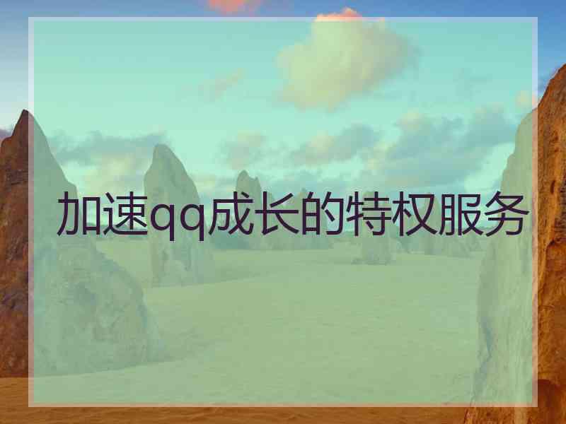 加速qq成长的特权服务
