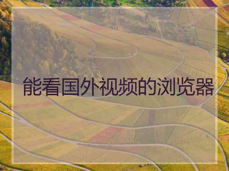 能看国外视频的浏览器