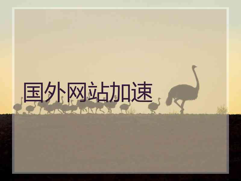 国外网站加速