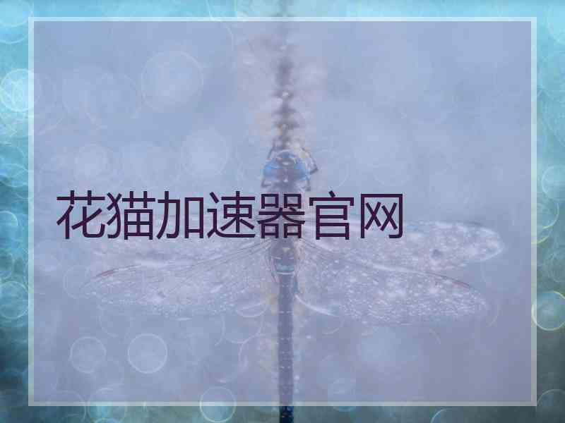 花猫加速器官网
