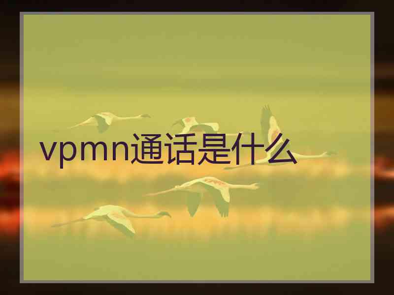 vpmn通话是什么