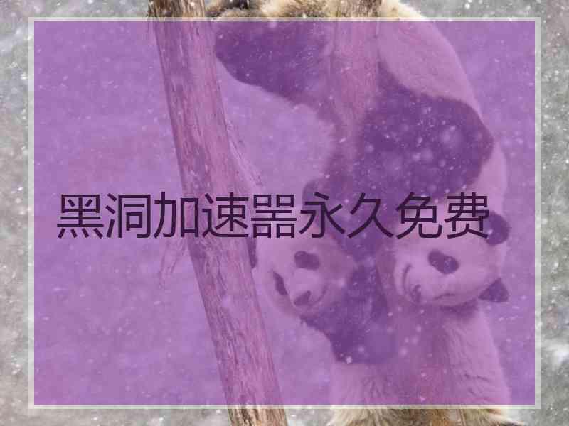 黑洞加速噐永久免费