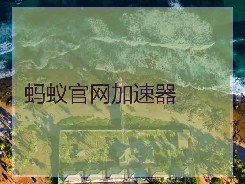 蚂蚁官网加速器