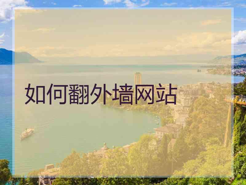 如何翻外墙网站
