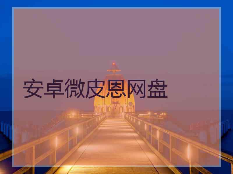 安卓微皮恩网盘