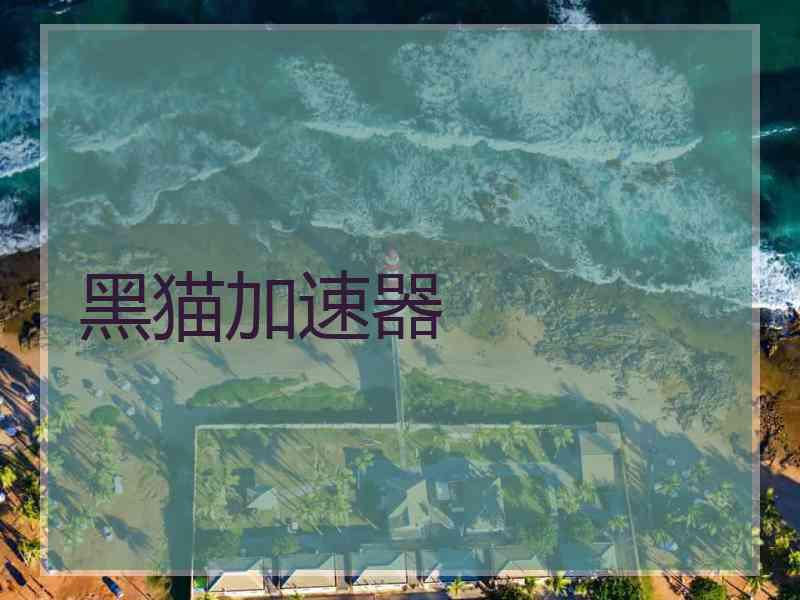 黑猫加速器