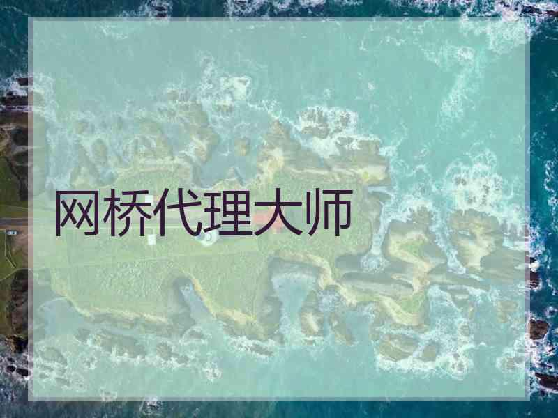 网桥代理大师