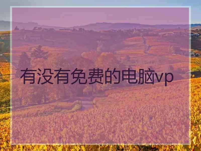 有没有免费的电脑vp