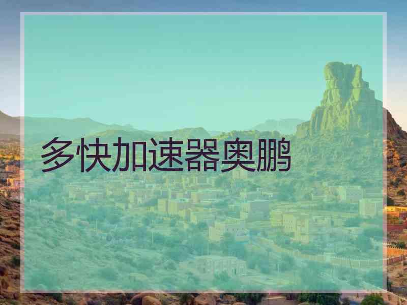 多快加速器奥鹏