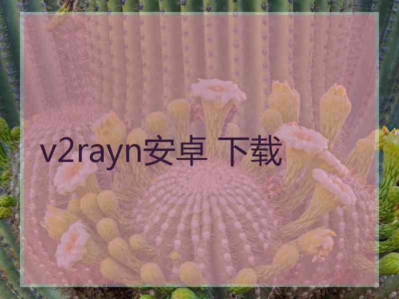 v2rayn安卓 下载