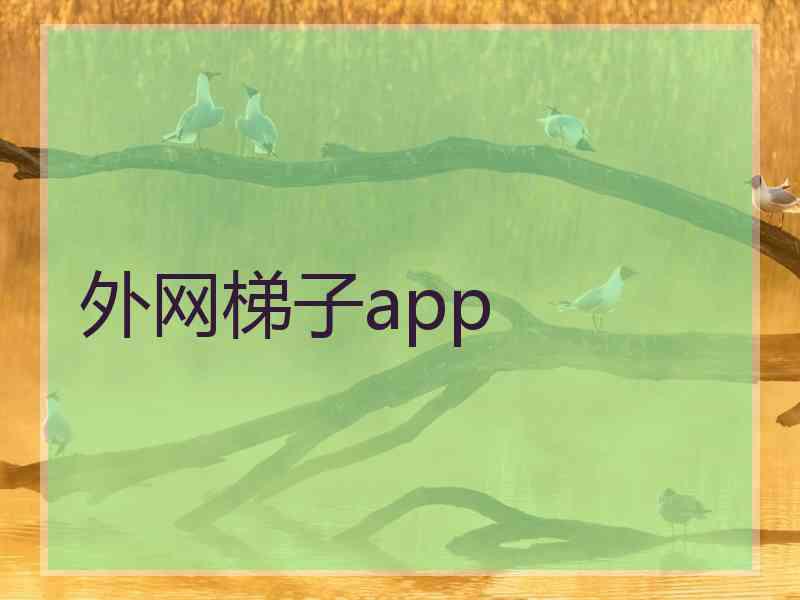 外网梯子app
