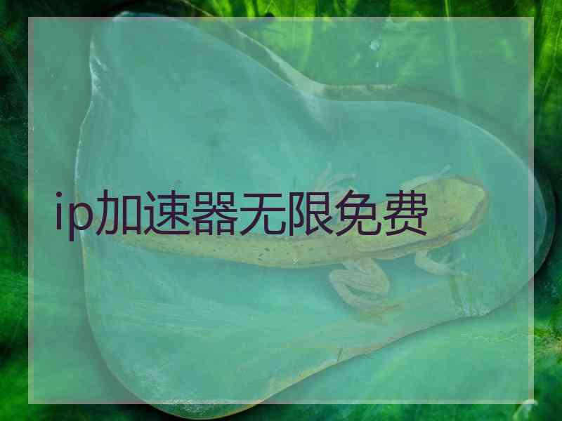 ip加速器无限免费