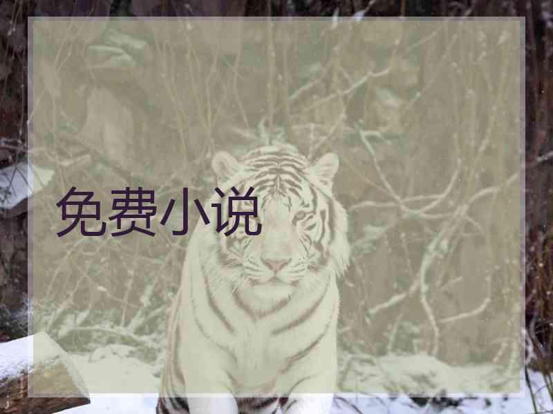 免费小说