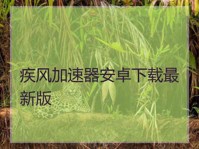 疾风加速器安卓下载最新版