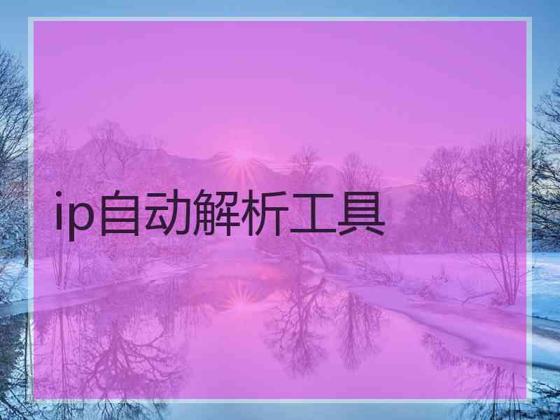 ip自动解析工具