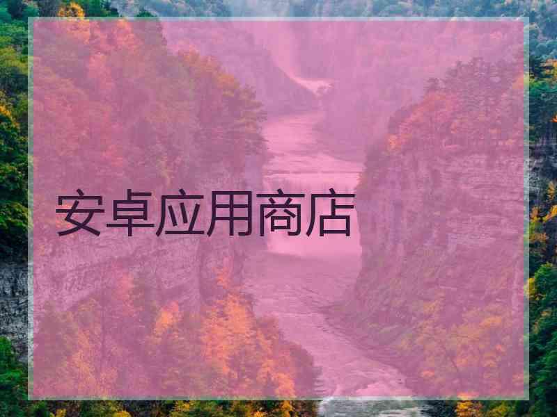 安卓应用商店