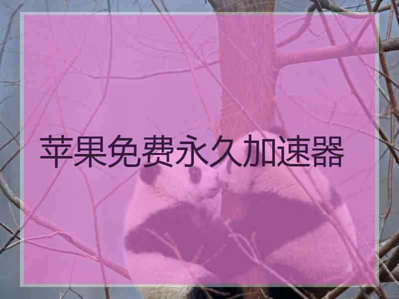 苹果免费永久加速器