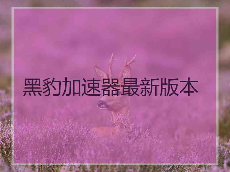 黑豹加速器最新版本