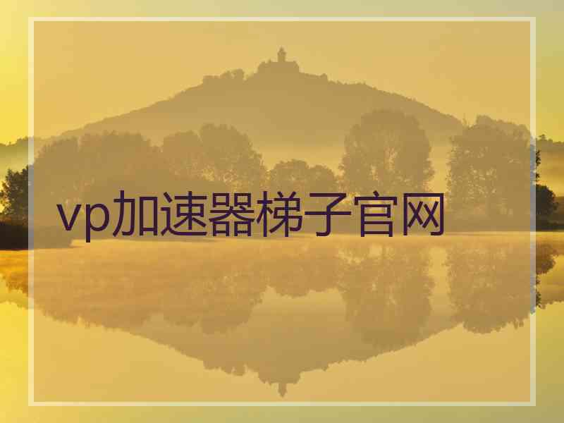vp加速器梯子官网