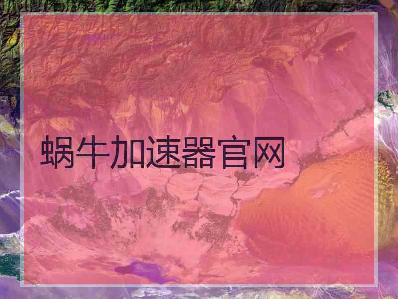 蜗牛加速器官网