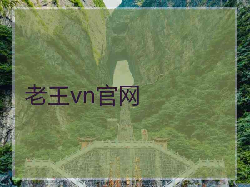 老王vn官网