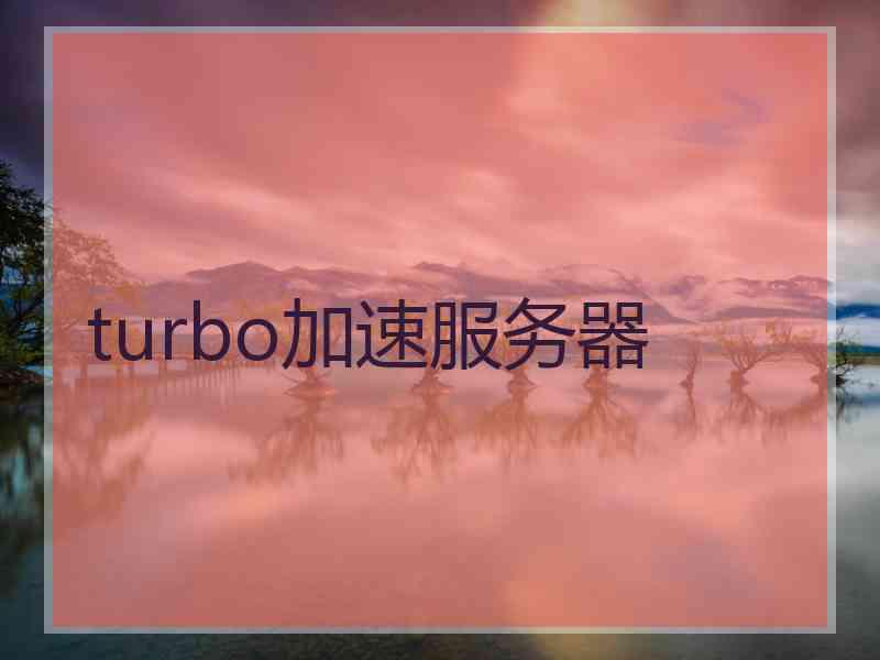 turbo加速服务器