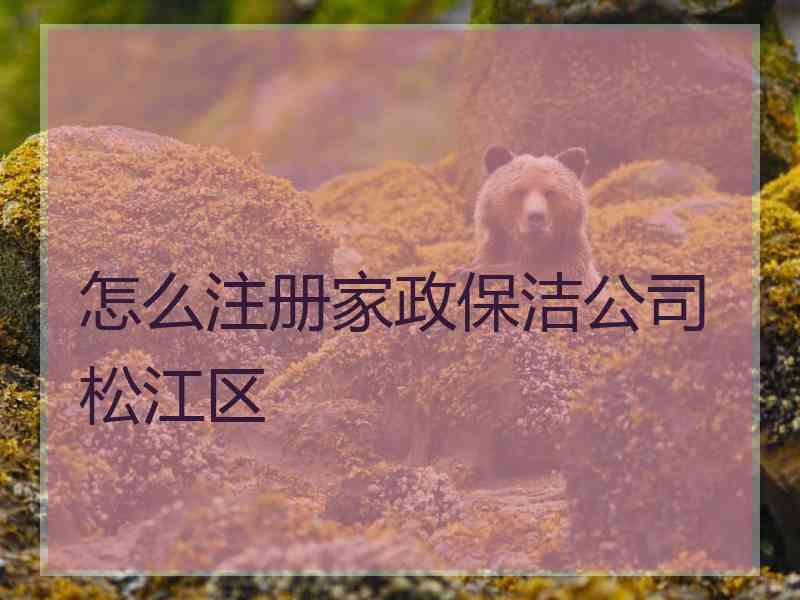 怎么注册家政保洁公司松江区