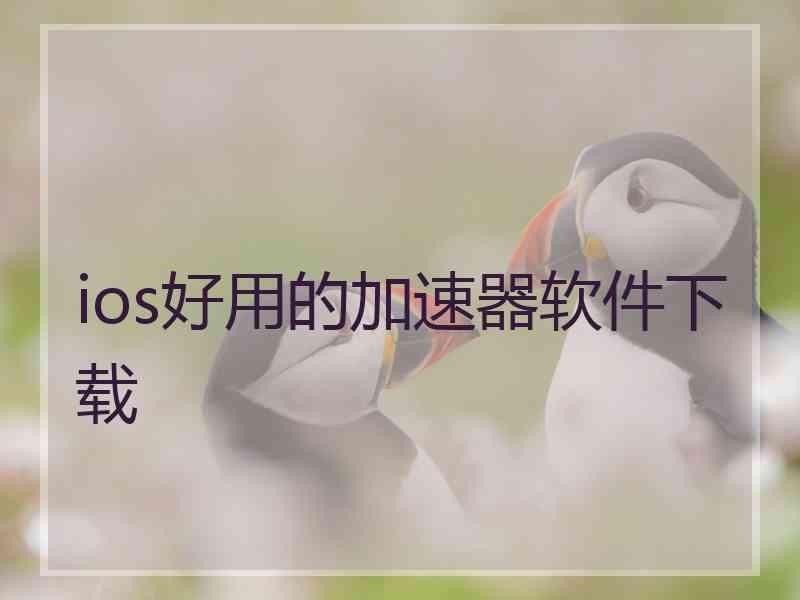 ios好用的加速器软件下载