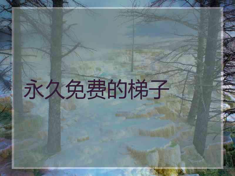 永久免费的梯子