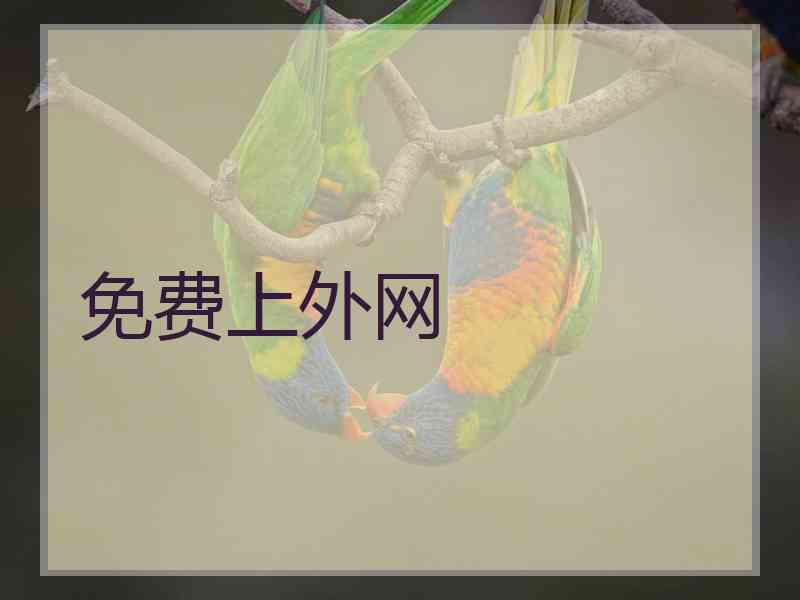 免费上外网