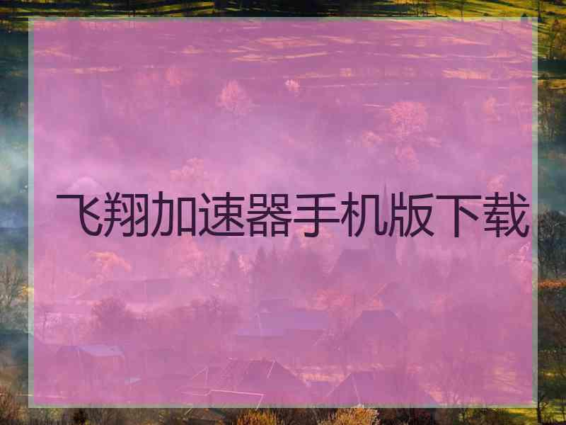 飞翔加速器手机版下载