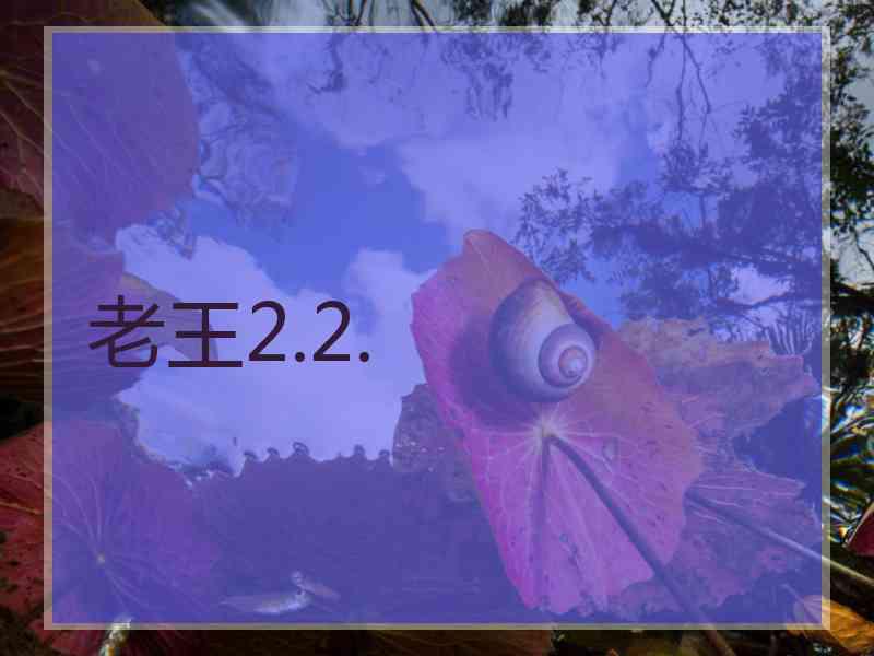老王2.2.