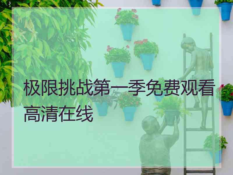 极限挑战第一季免费观看高清在线