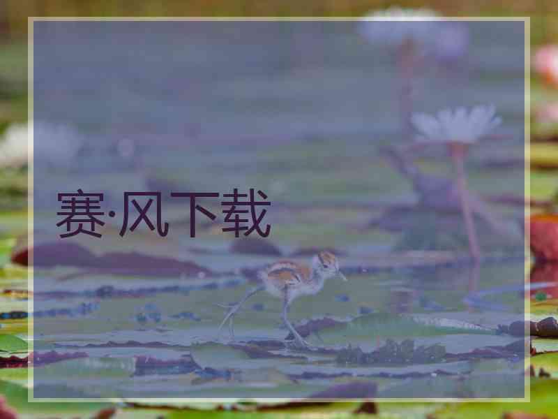 赛·风下载