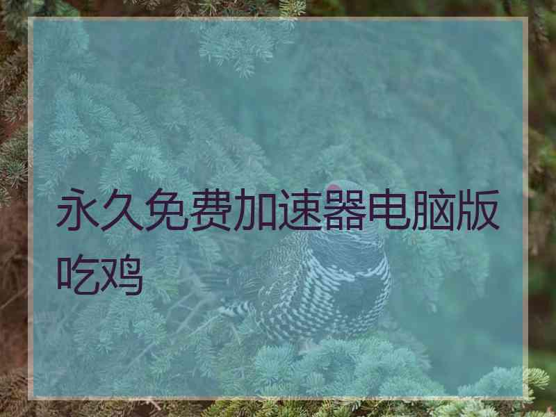 永久免费加速器电脑版吃鸡
