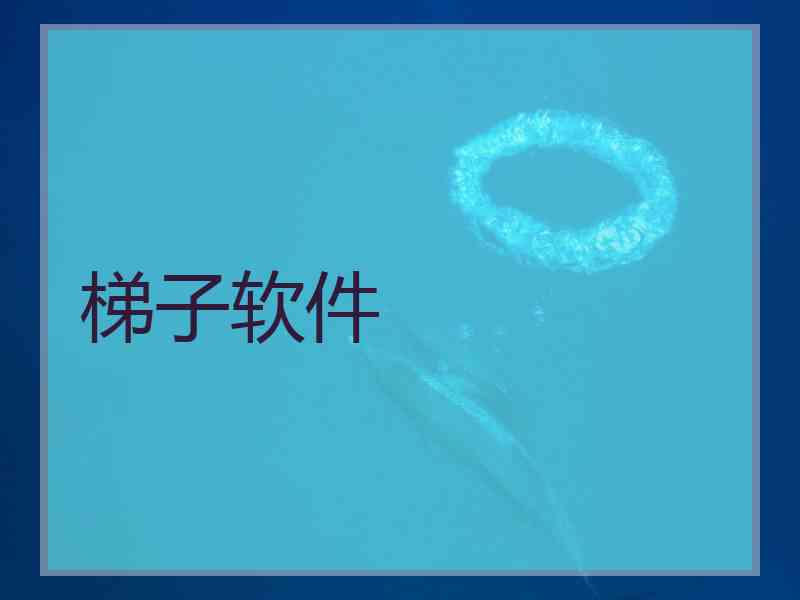 梯子软件