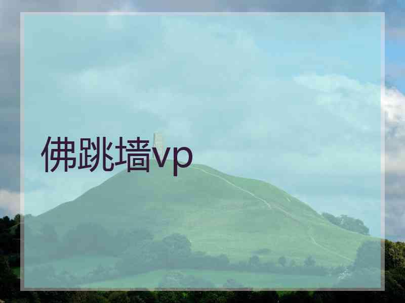 佛跳墙vp