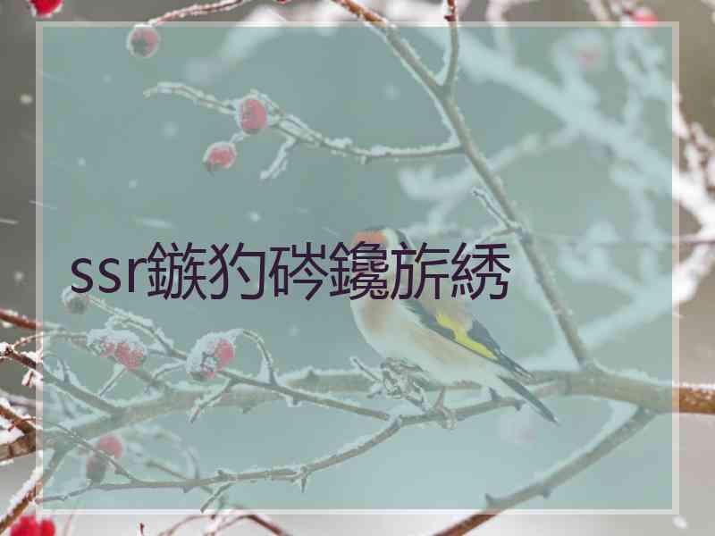 ssr鏃犳硶鑱旂綉