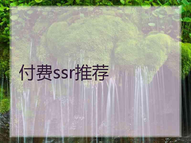付费ssr推荐