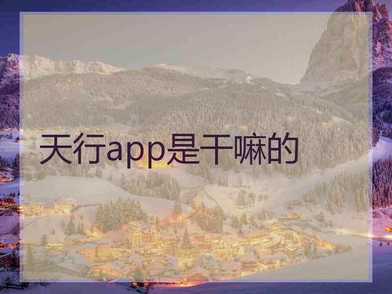 天行app是干嘛的