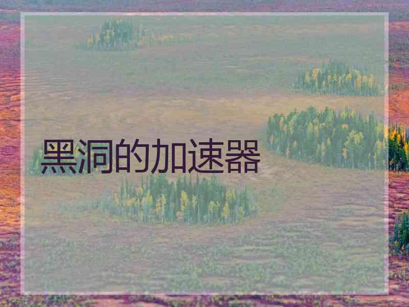 黑洞的加速器