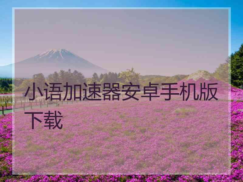 小语加速器安卓手机版下载