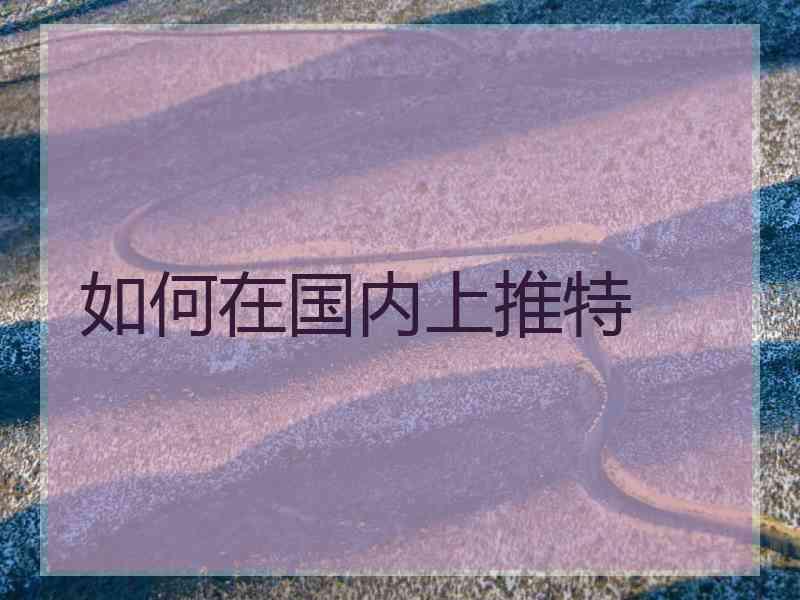 如何在国内上推特