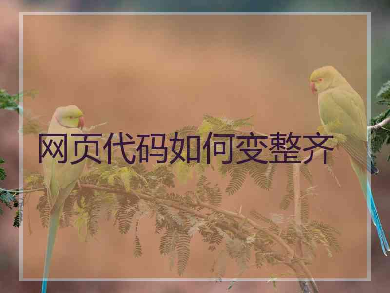 网页代码如何变整齐