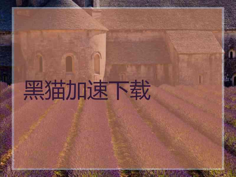 黑猫加速下载