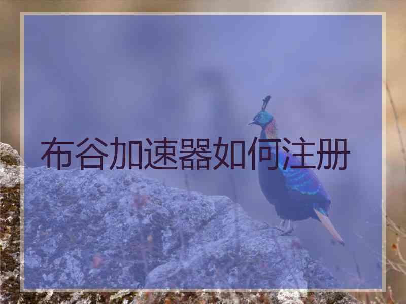 布谷加速器如何注册