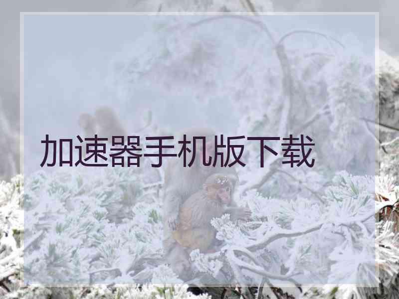 加速器手机版下载