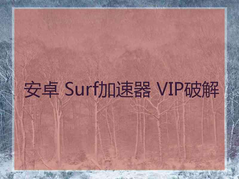 安卓 Surf加速器 VIP破解