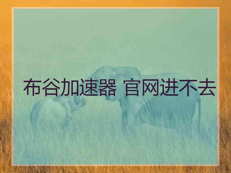 布谷加速器 官网进不去